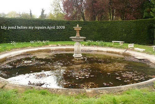 A dilapidated lily pond 